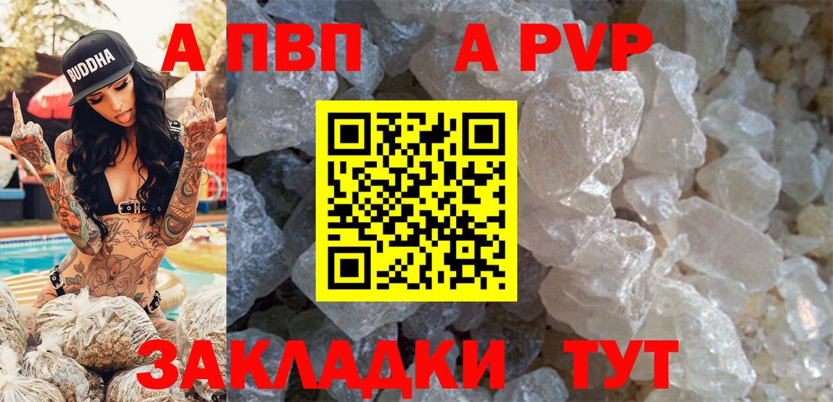 Альфа ПВП СК Губкин